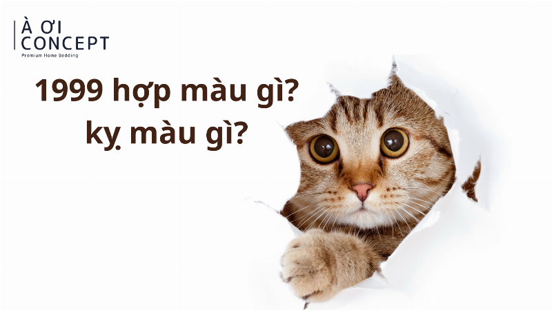 Màu sắc tương sinh và tương hợp cho người tuổi Kỷ Mão mệnh Mộc trong phong thủy